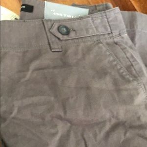 Ann taylor cargo pants